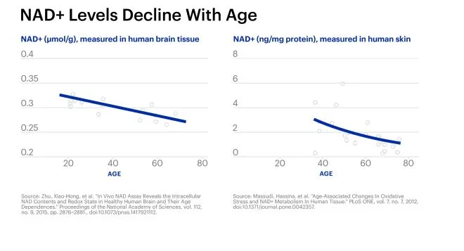 NAD+ levels decline with age graph